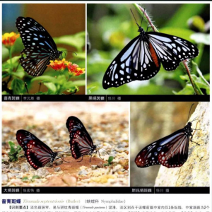 请输入相册名称