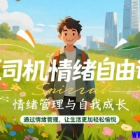 王司机情绪自由课，掌控情绪的真相法则