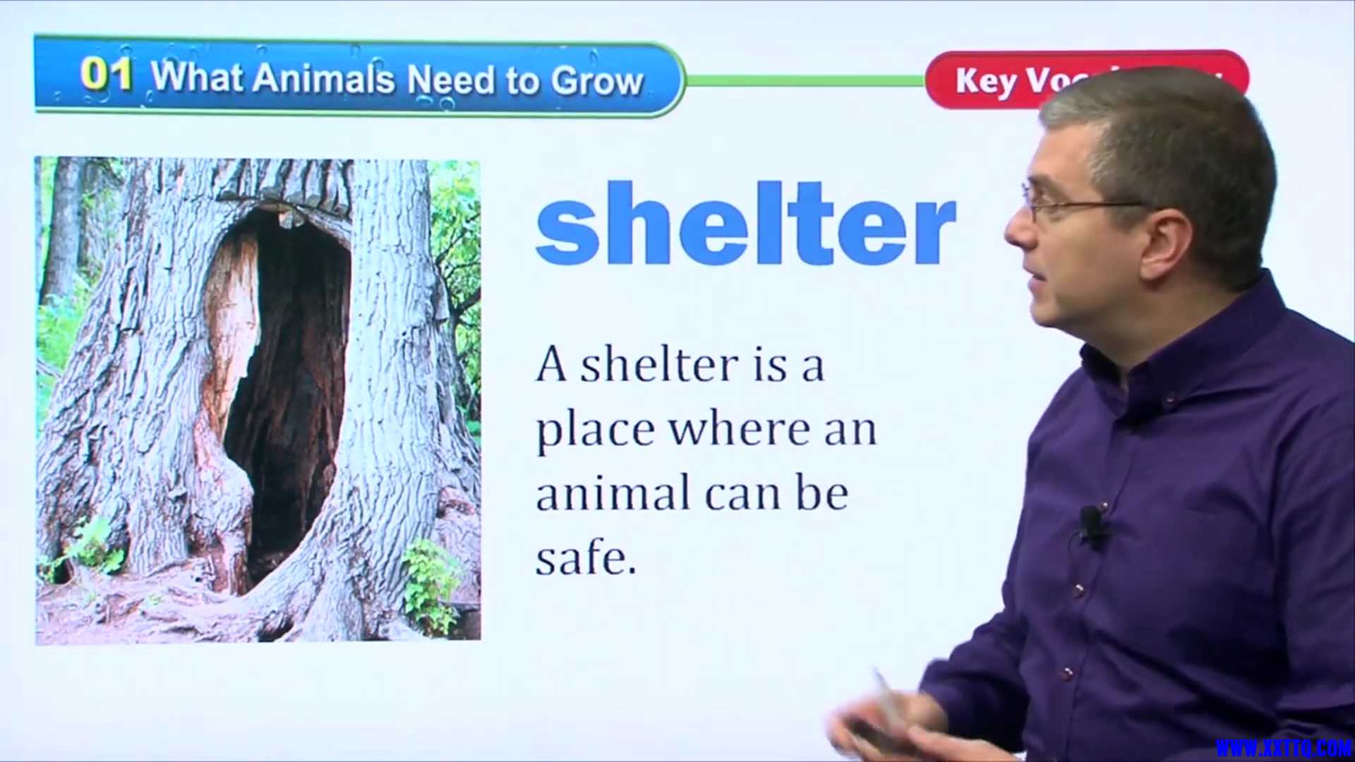 16 What Animals Need to Grow 005.jpg
