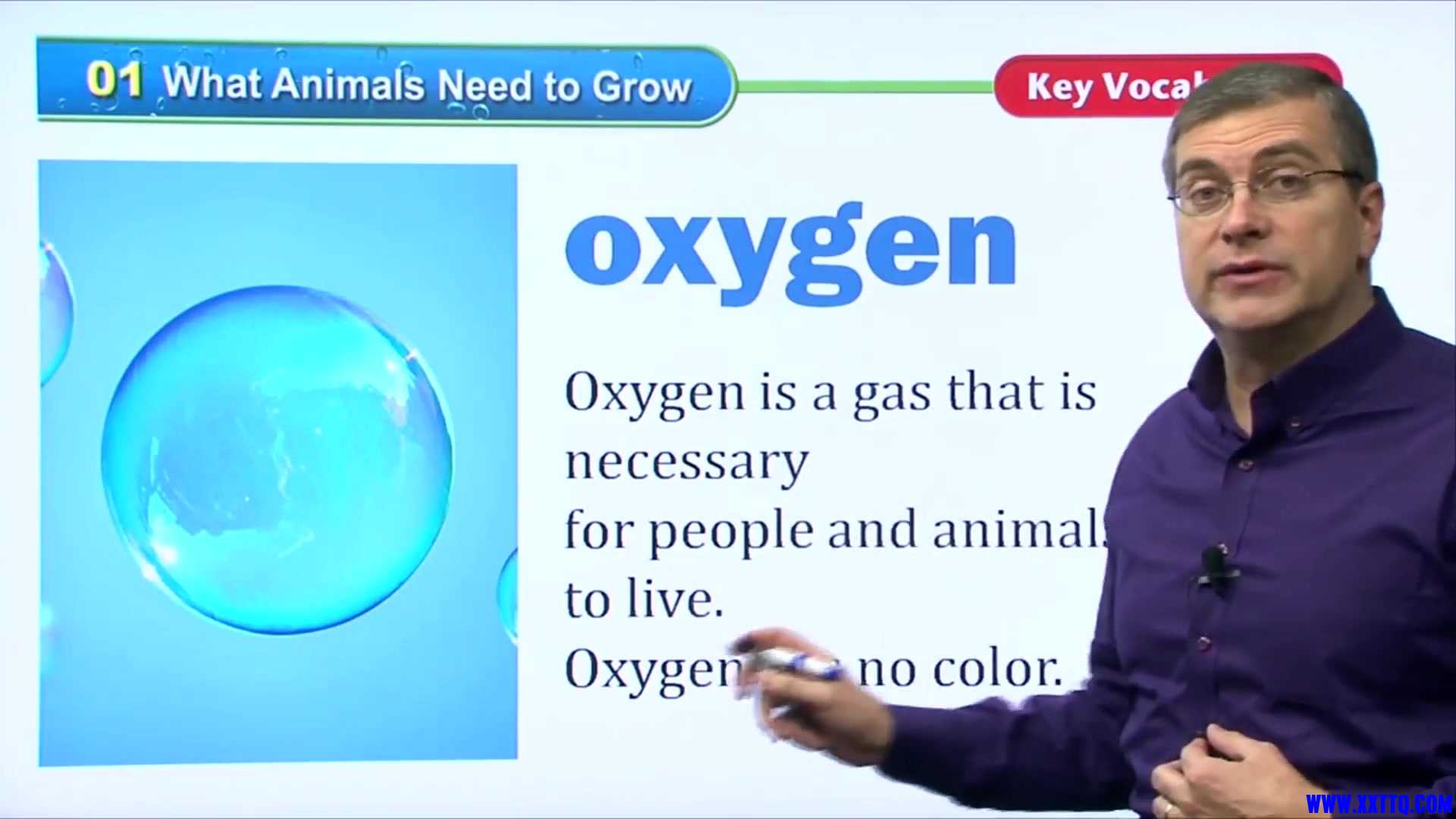 16 What Animals Need to Grow 010.jpg
