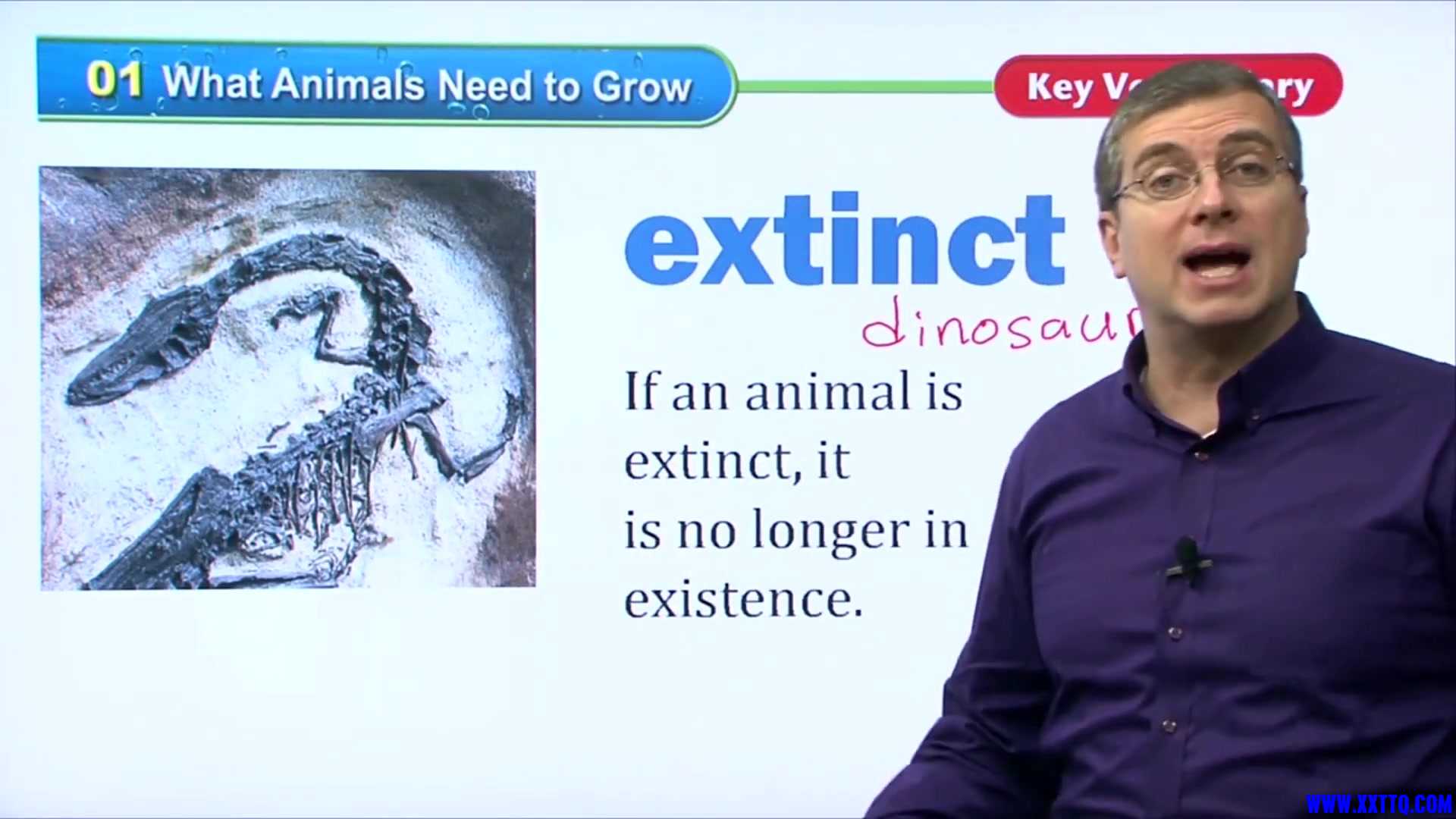 16 What Animals Need to Grow 022.jpg