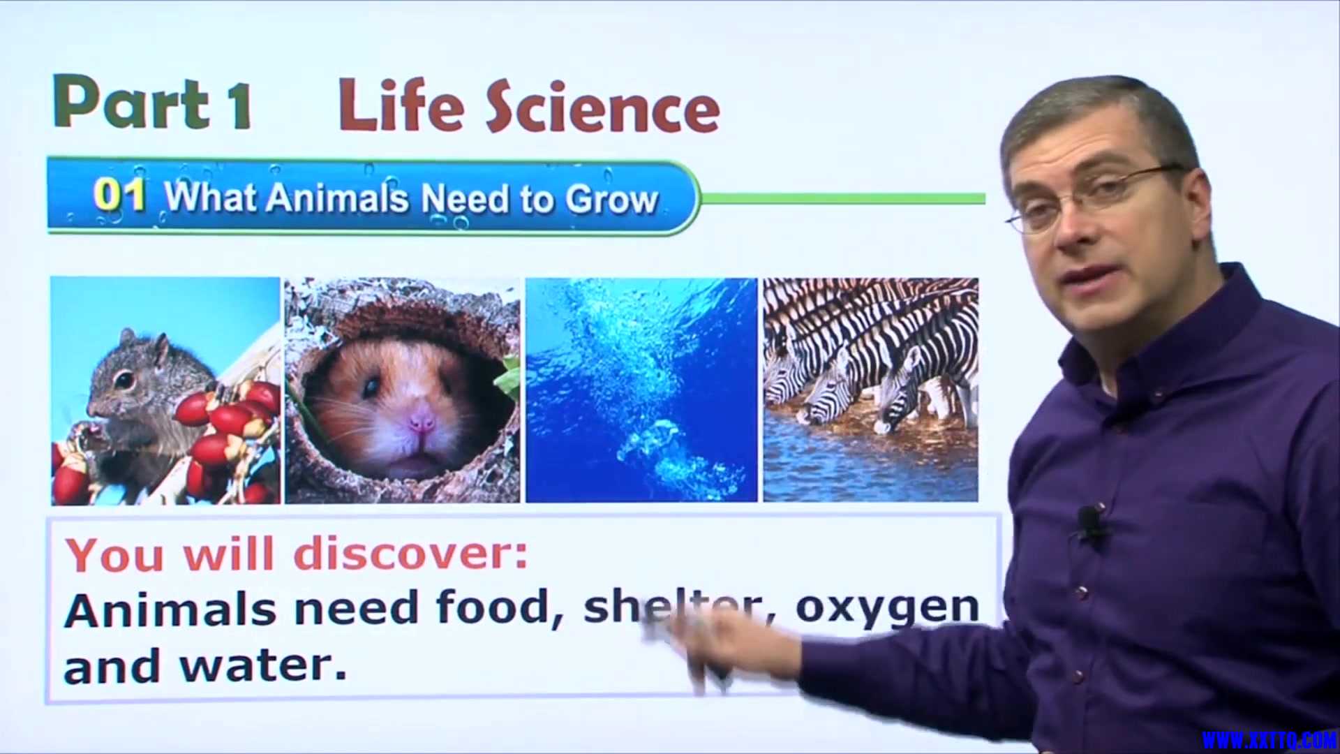 16 What Animals Need to Grow 004.jpg
