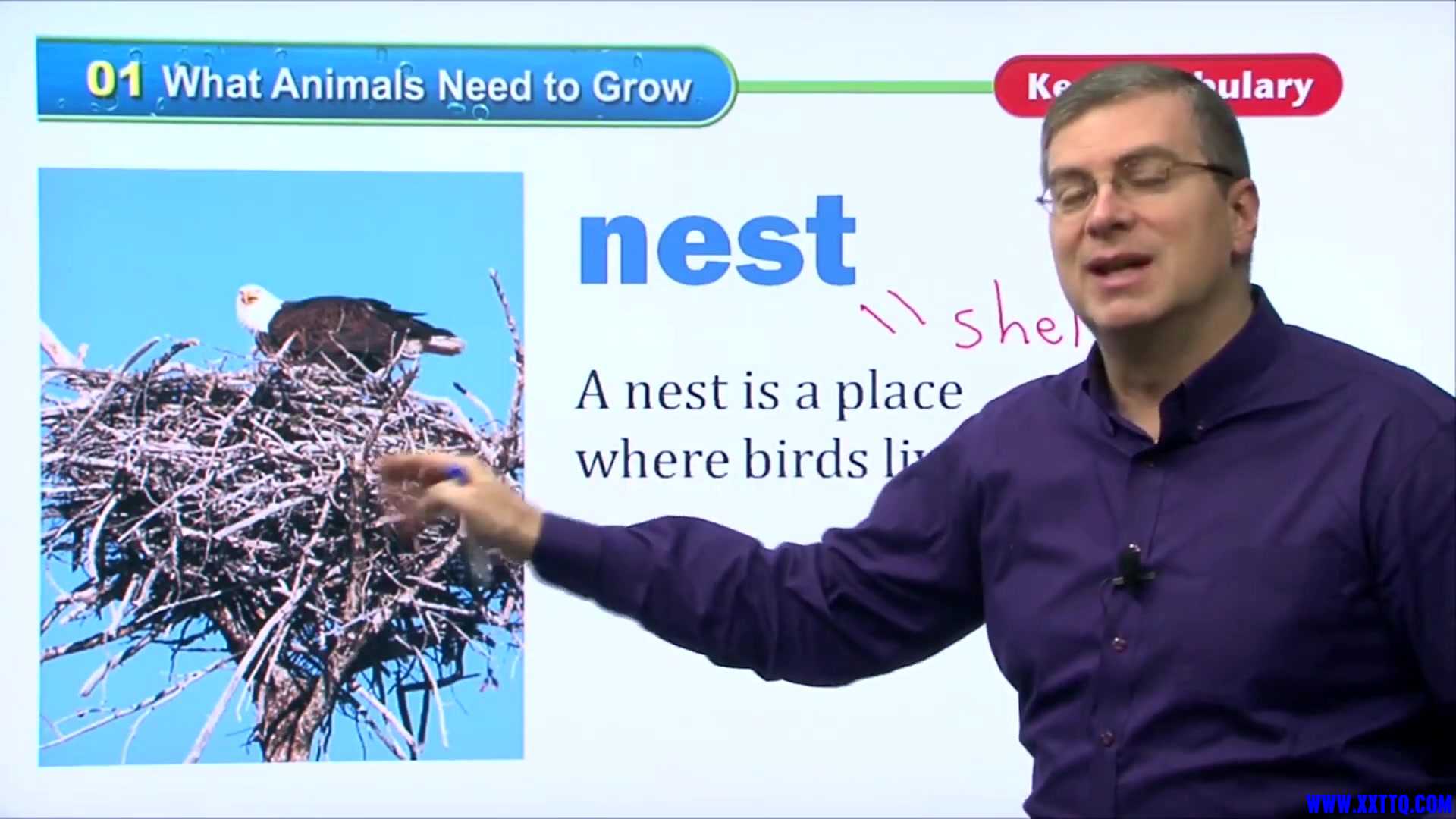 16 What Animals Need to Grow 009.jpg