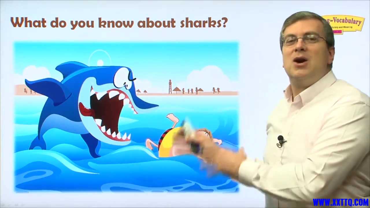 01：Sharks 009.jpg