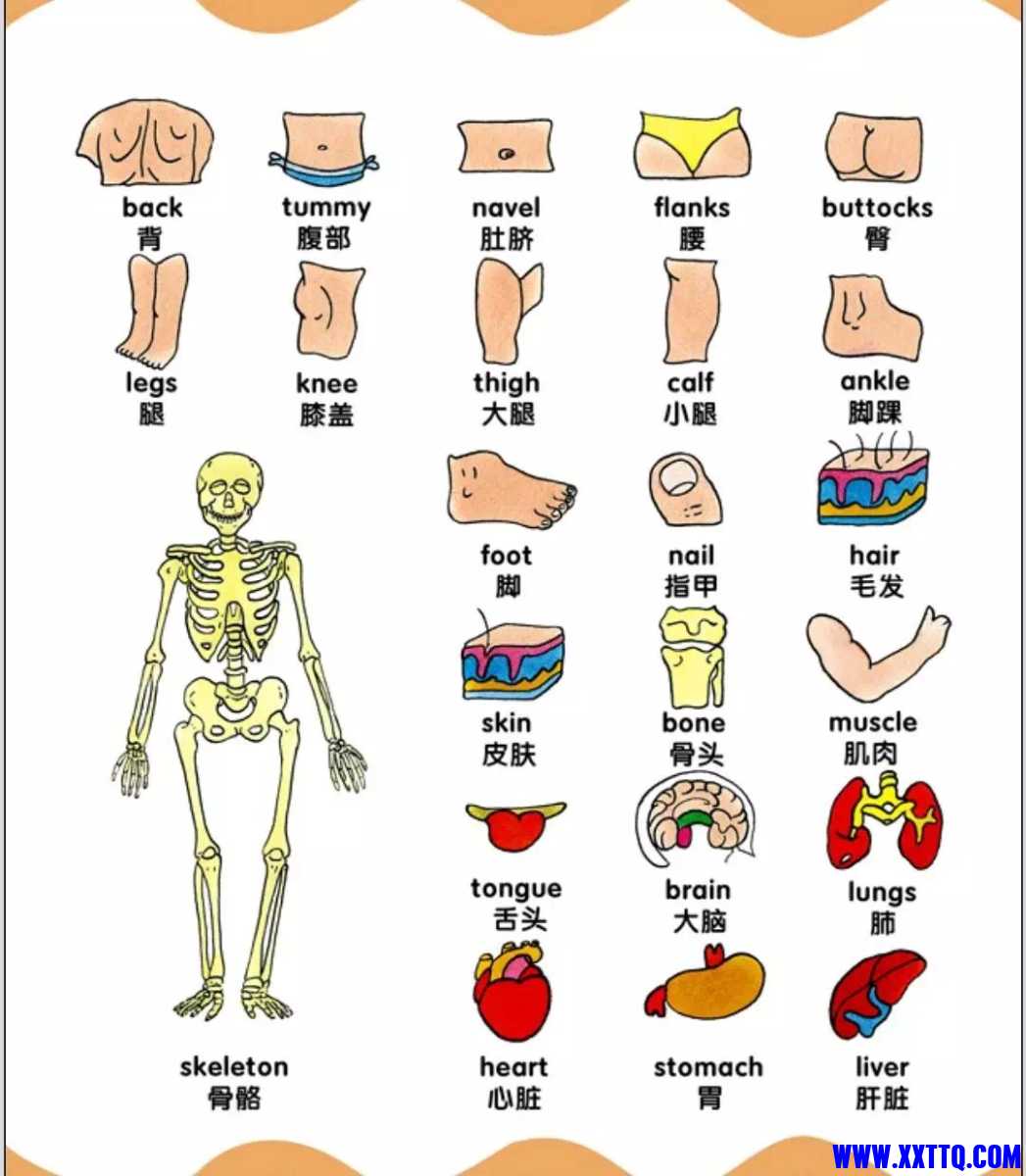 HumanBody2.jpeg