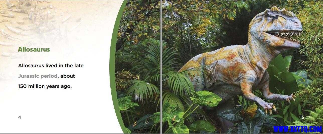 333.jpg