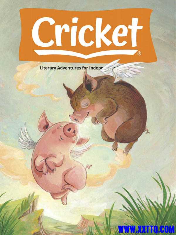 cricket-02_2021.jpg