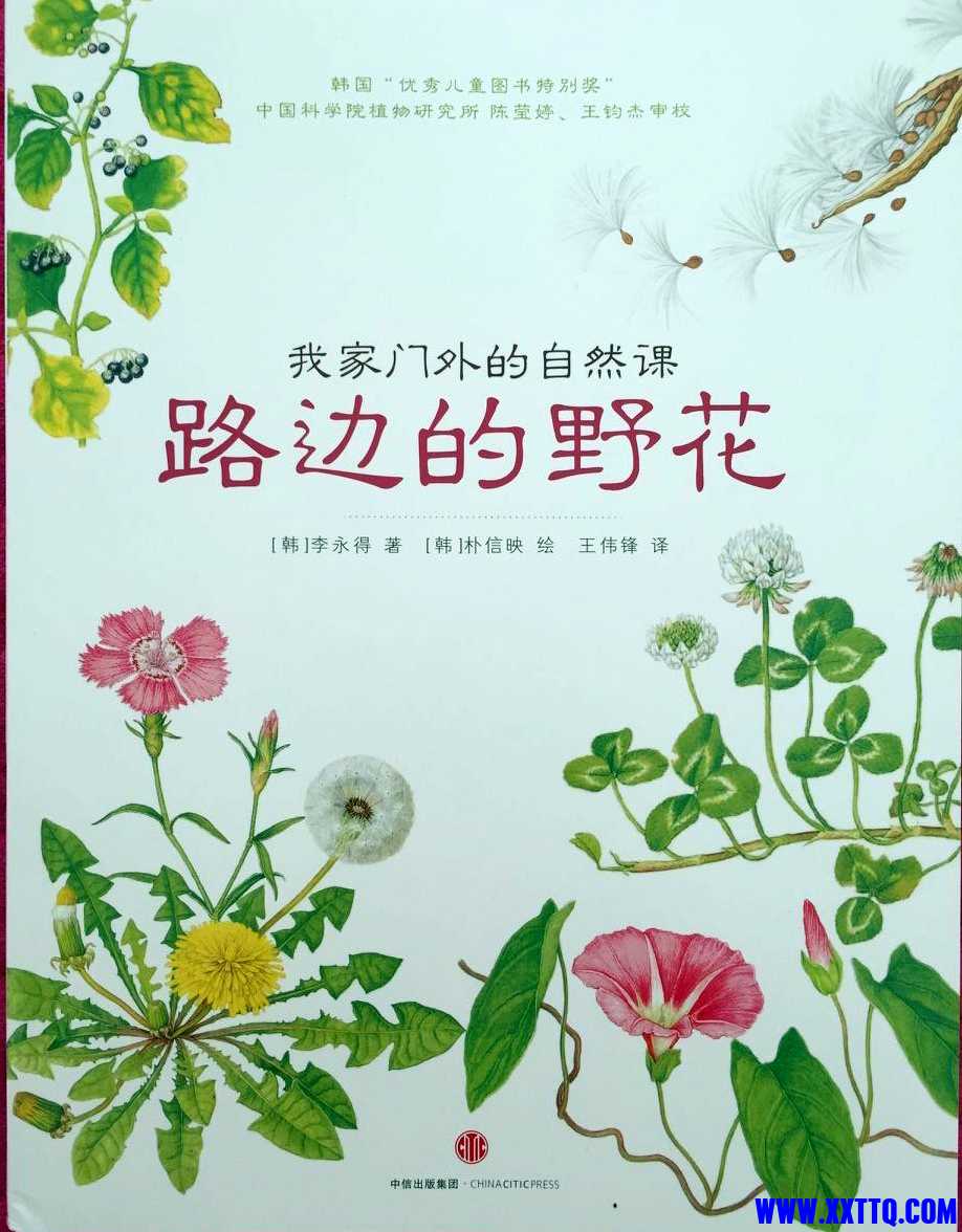 路边的野花.jpg