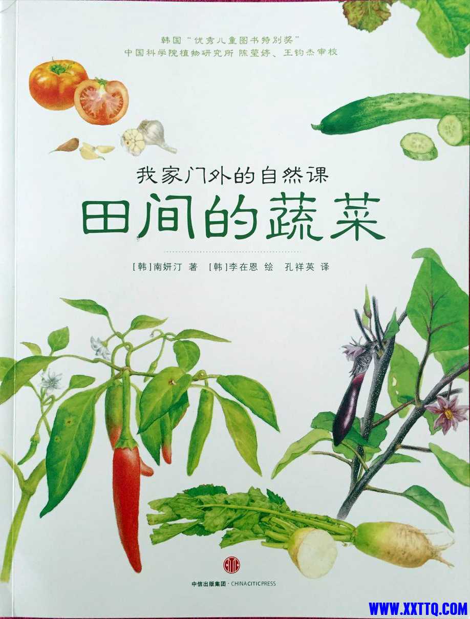 田间的蔬菜.jpg