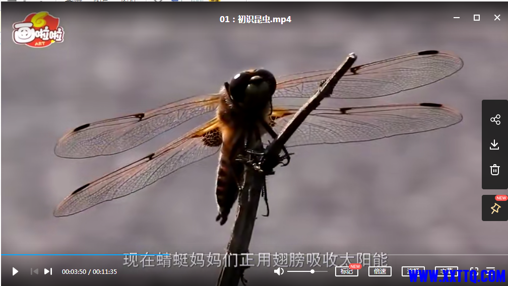 微信截图_20210416094304.png