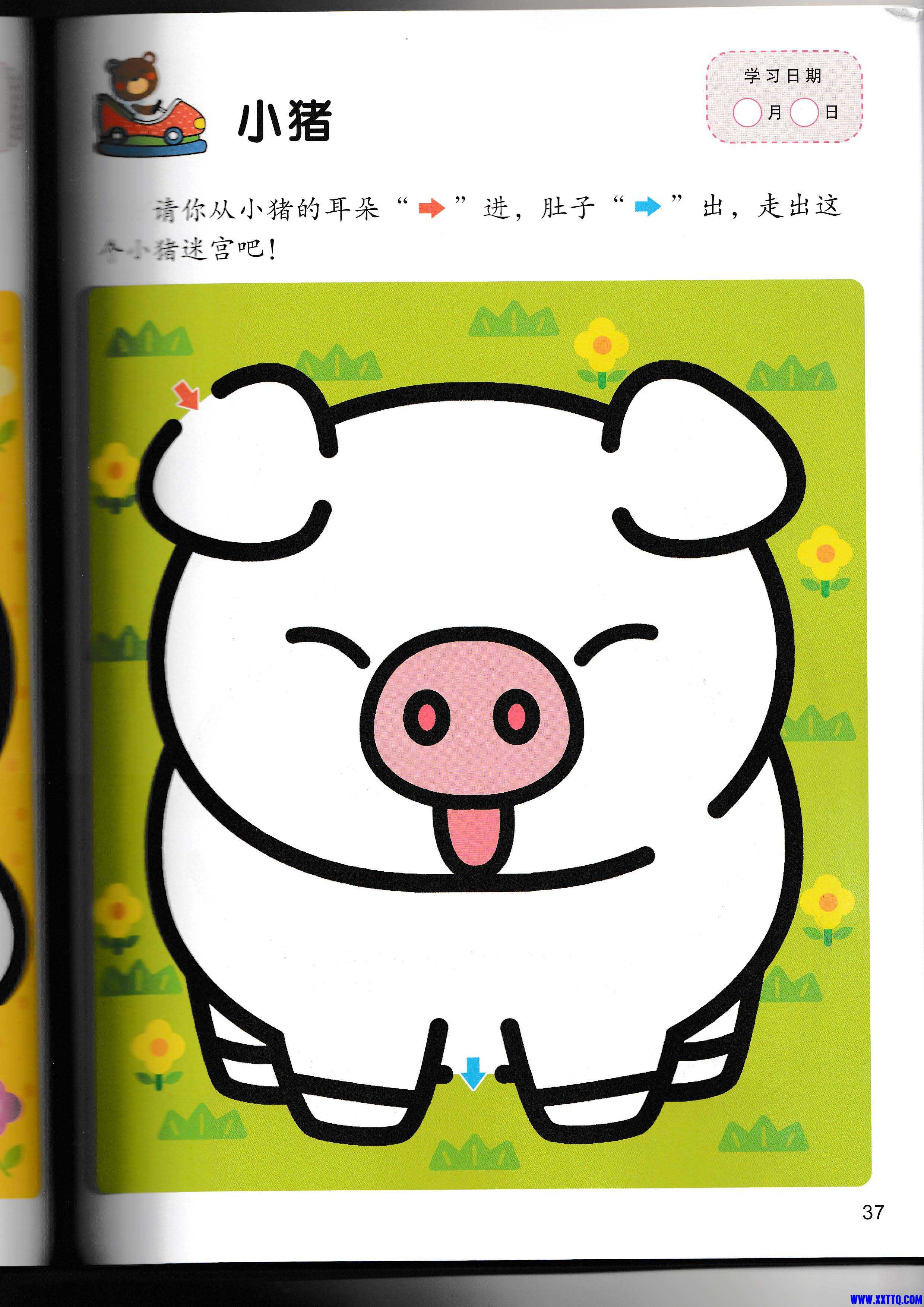 邦臣小红花-头脑潜能开发迷宫2【更多资源咨询微信：yimiliu02】_页面_39.jpg.jpg
