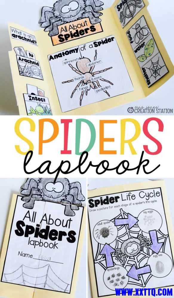 05.Spiders Science Lapbook..jpeg