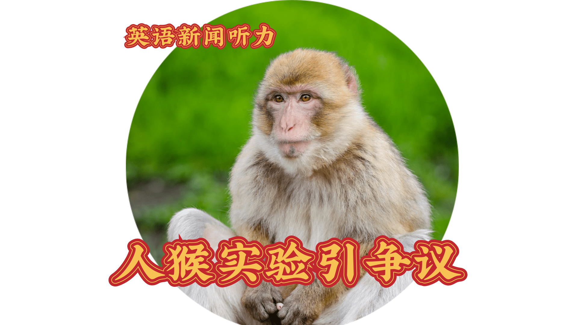 未命名 (2).png