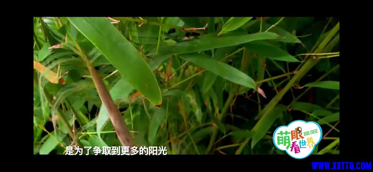 Screenshot_20210421_130014_com.baidu.netdisk.jpg