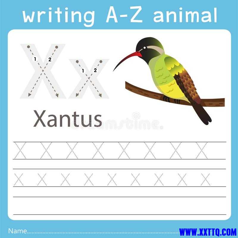illustrator-writing-z-animal-xantus-education-137361158.jpg