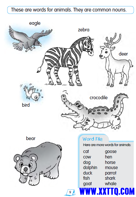 3.PNG