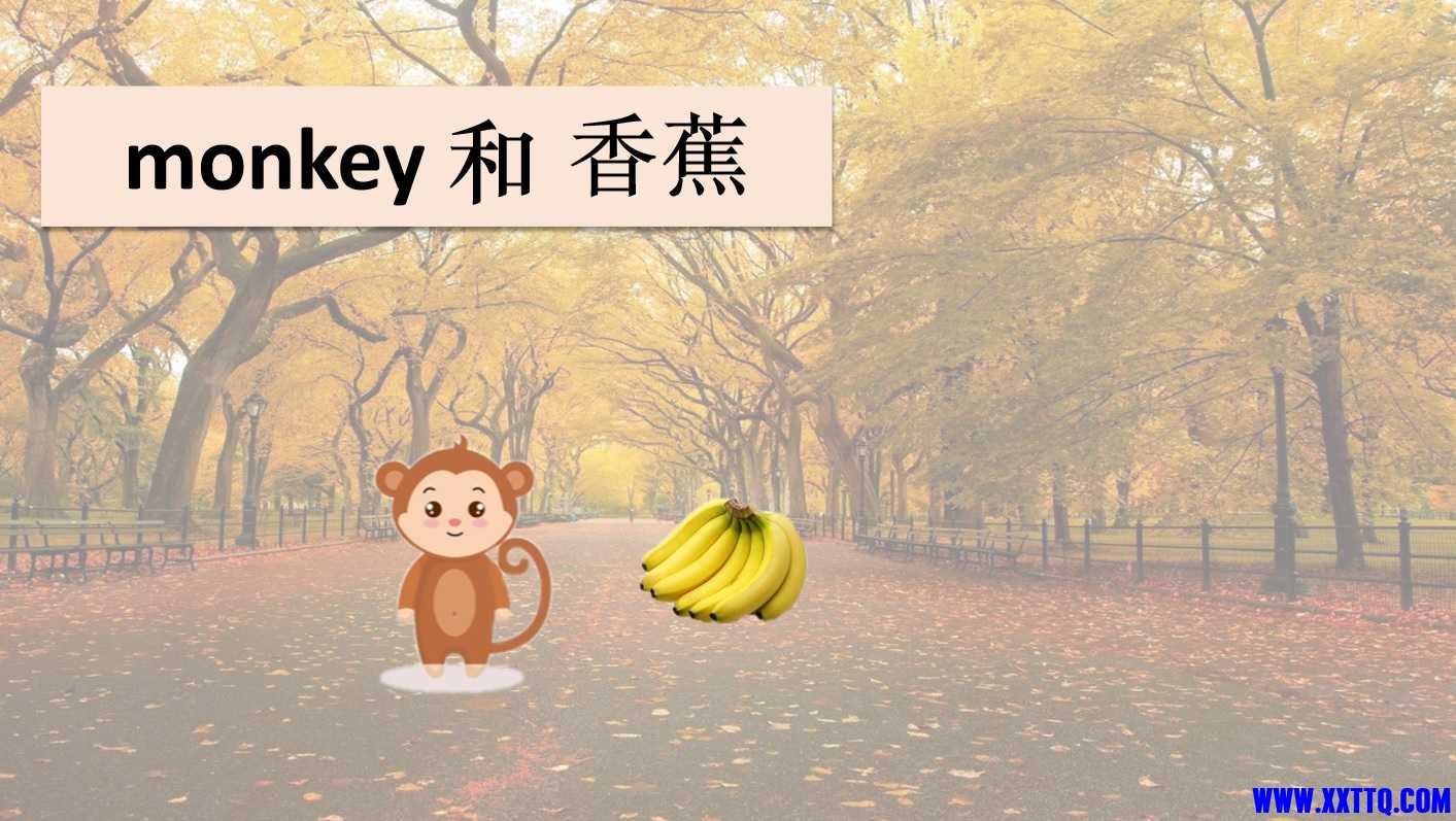 monkey的故事