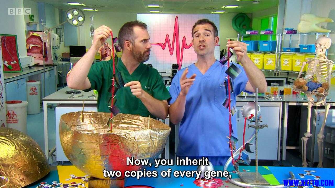 Operation Ouch!.S07E01.What Makes You, You_20201225102638.JPG