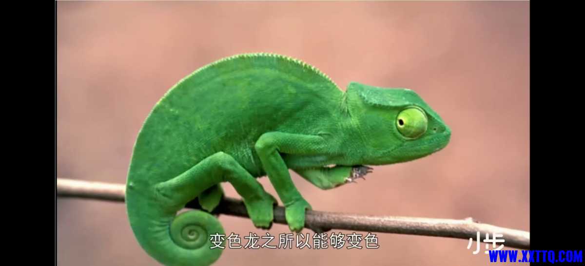 Screenshot_20210802_183101_com.baidu.netdisk.jpg