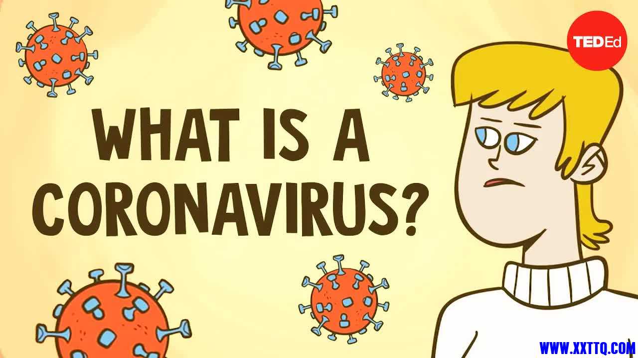 101-What is a coronavirus - Elizabeth Cox​公众号-火星学苑.jpg