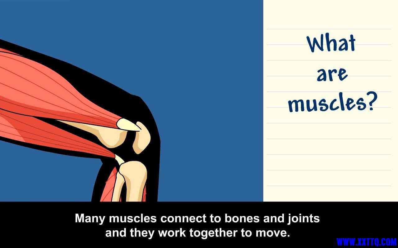 Muscles - BrainPOP Jr_20211102104845.JPG