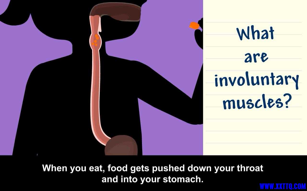 Muscles - BrainPOP Jr_20211102104854.JPG