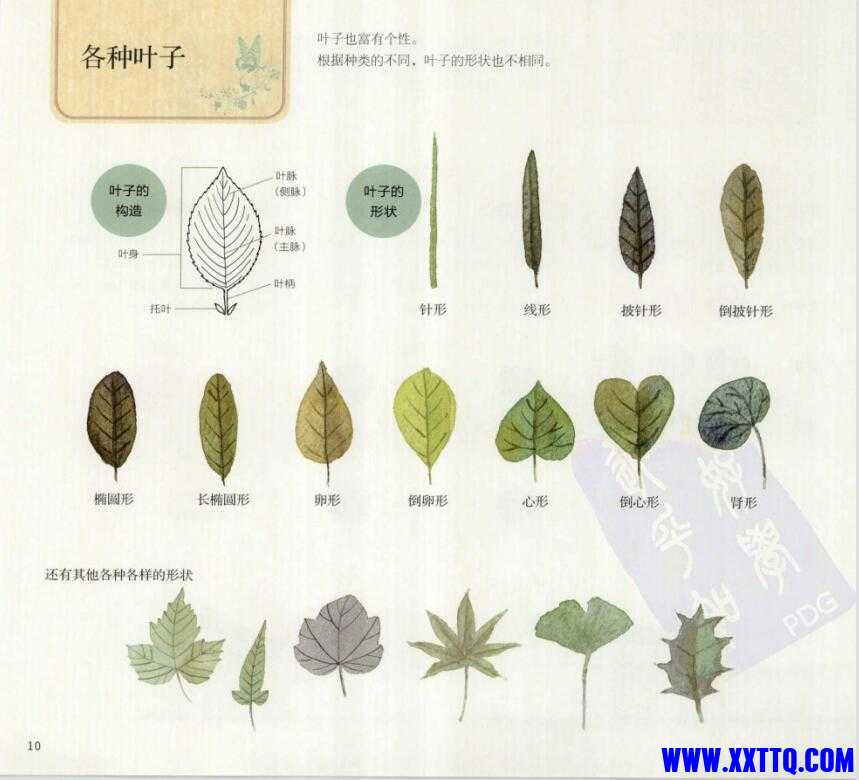 QQ截图20211105092744.jpg