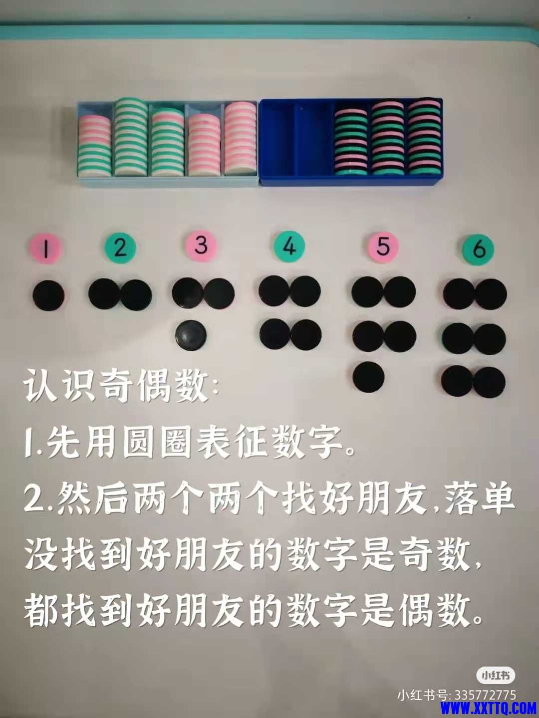 百数板5