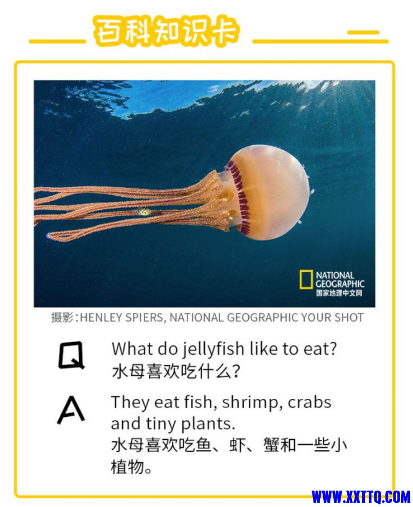 7095e86253d7a7e33d00f41688158ac.png
