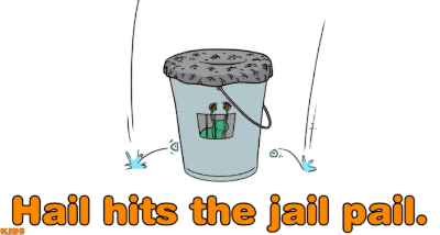 5.gif