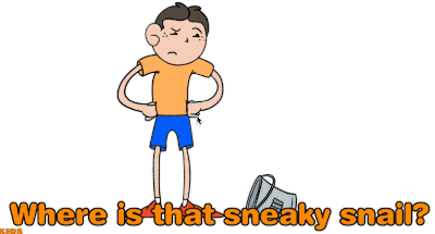 7.gif
