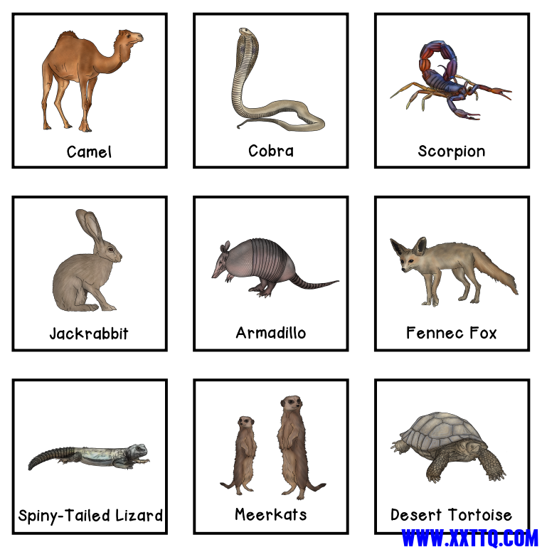 WX20211222-150539@2x.png