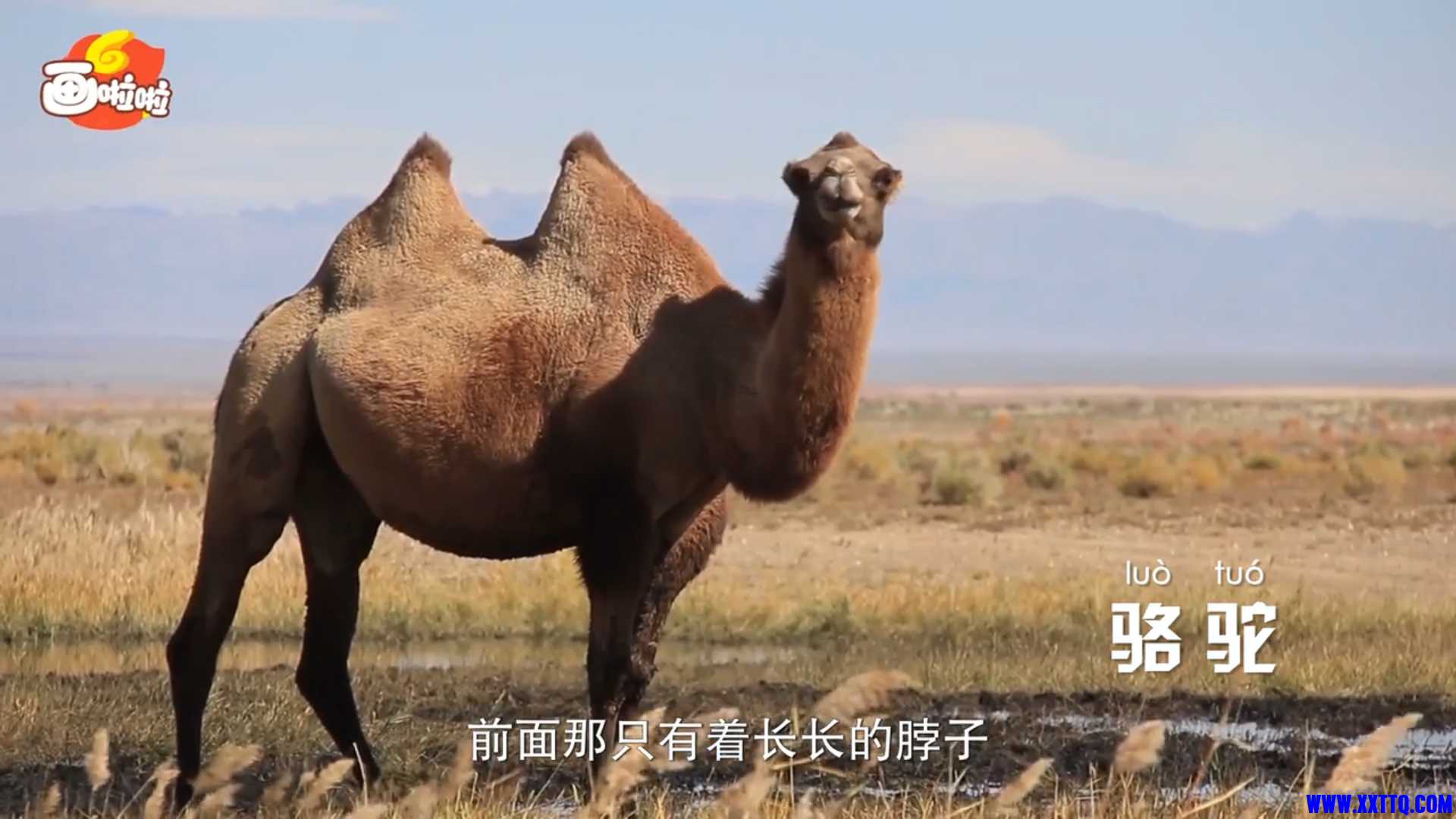 企业15562截图_16399868376677_副本.jpg