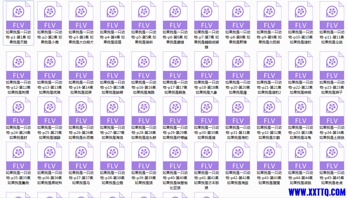 资源截图