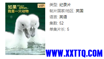 视频截图