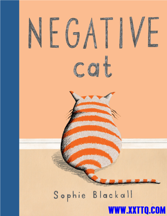 Negative Cat.png