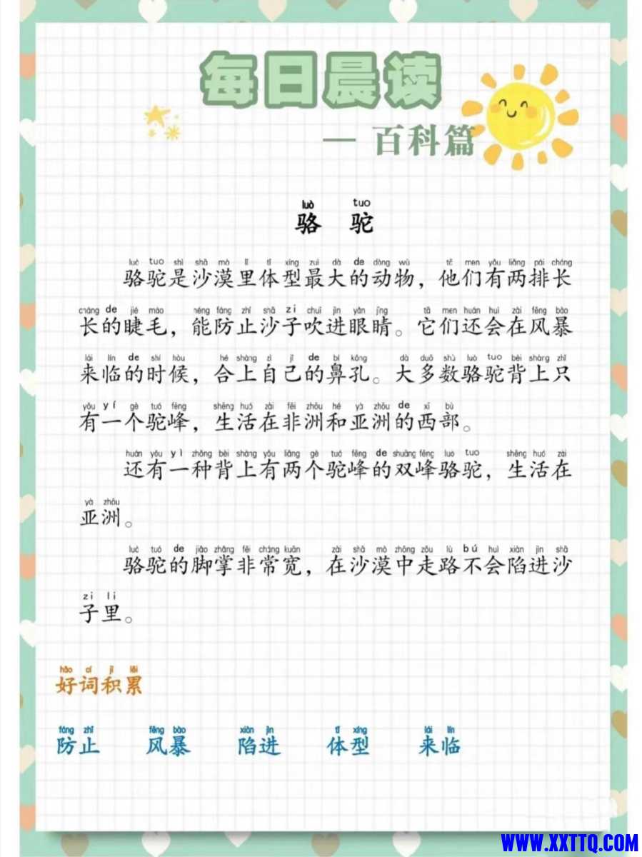 AA7E3977-C52F-4171-8739-12FC1F319FE0.jpeg