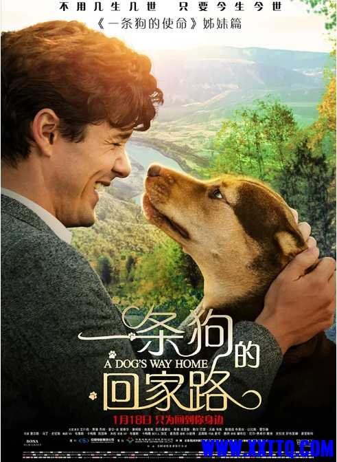 搜狗截图20220620092137.jpg