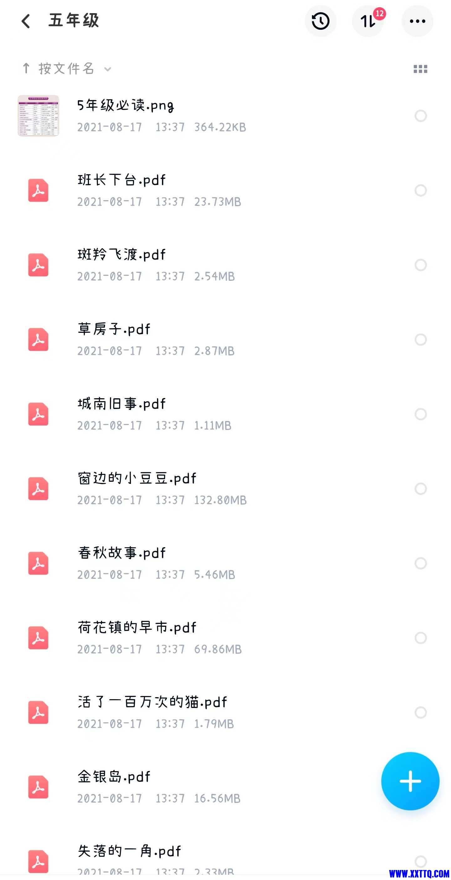 肉丁检.jpg
