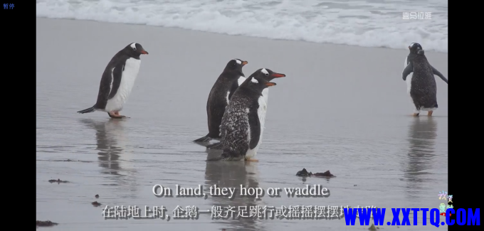 380781b7da6cd03669267dfee27394c7_1650781595-企业155613截图_16507815096228.png