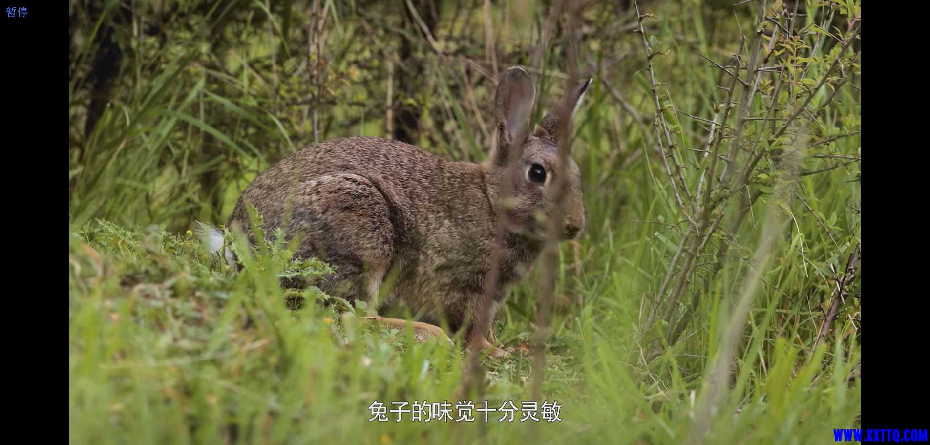 企业155613截图_16509769556413_副本_副本.jpg