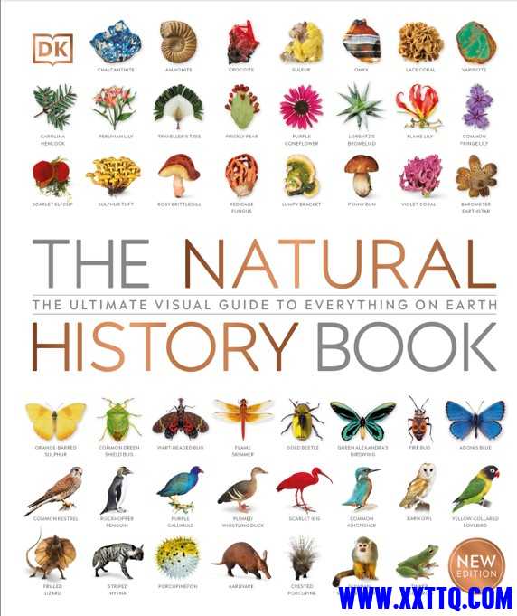 Nature1.jpg