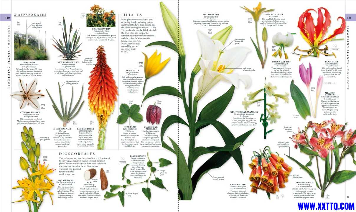 Nature6.jpg