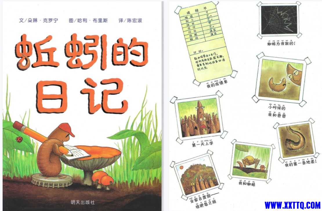 蚯蚓.jpg