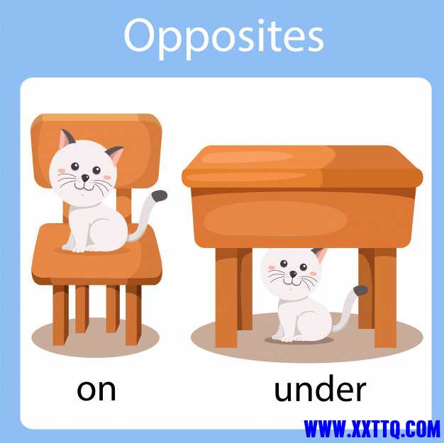illustrator-opposites_65947-838.jpg