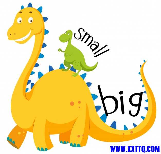 opposite-adjective-big-small_1308-2842.jpg