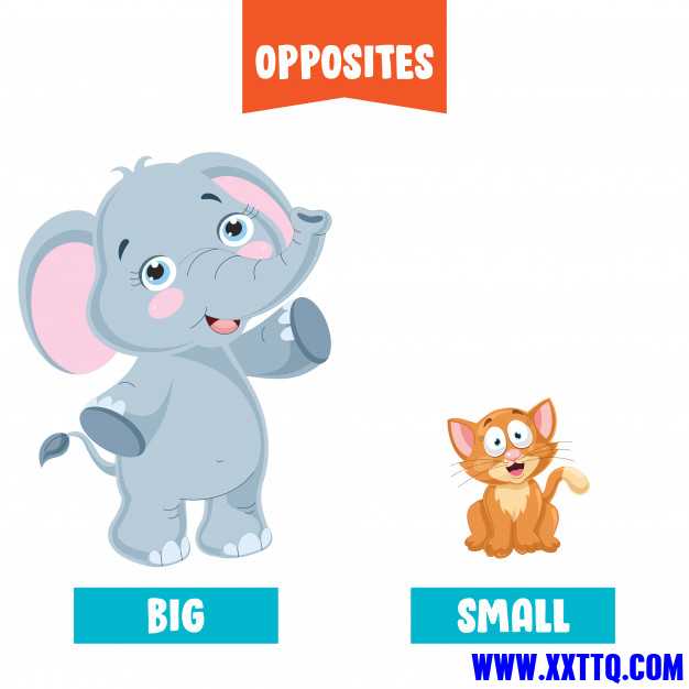 opposite-adjectives-with-cartoon-drawings_29937-4394.jpg