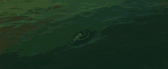 1676098254343618.gif