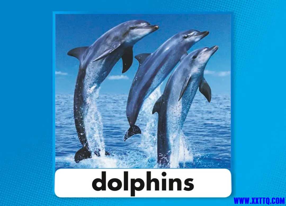 bee41d937a165ae8c5a21b2775aa7e3e-sz_100541.webp.jpg