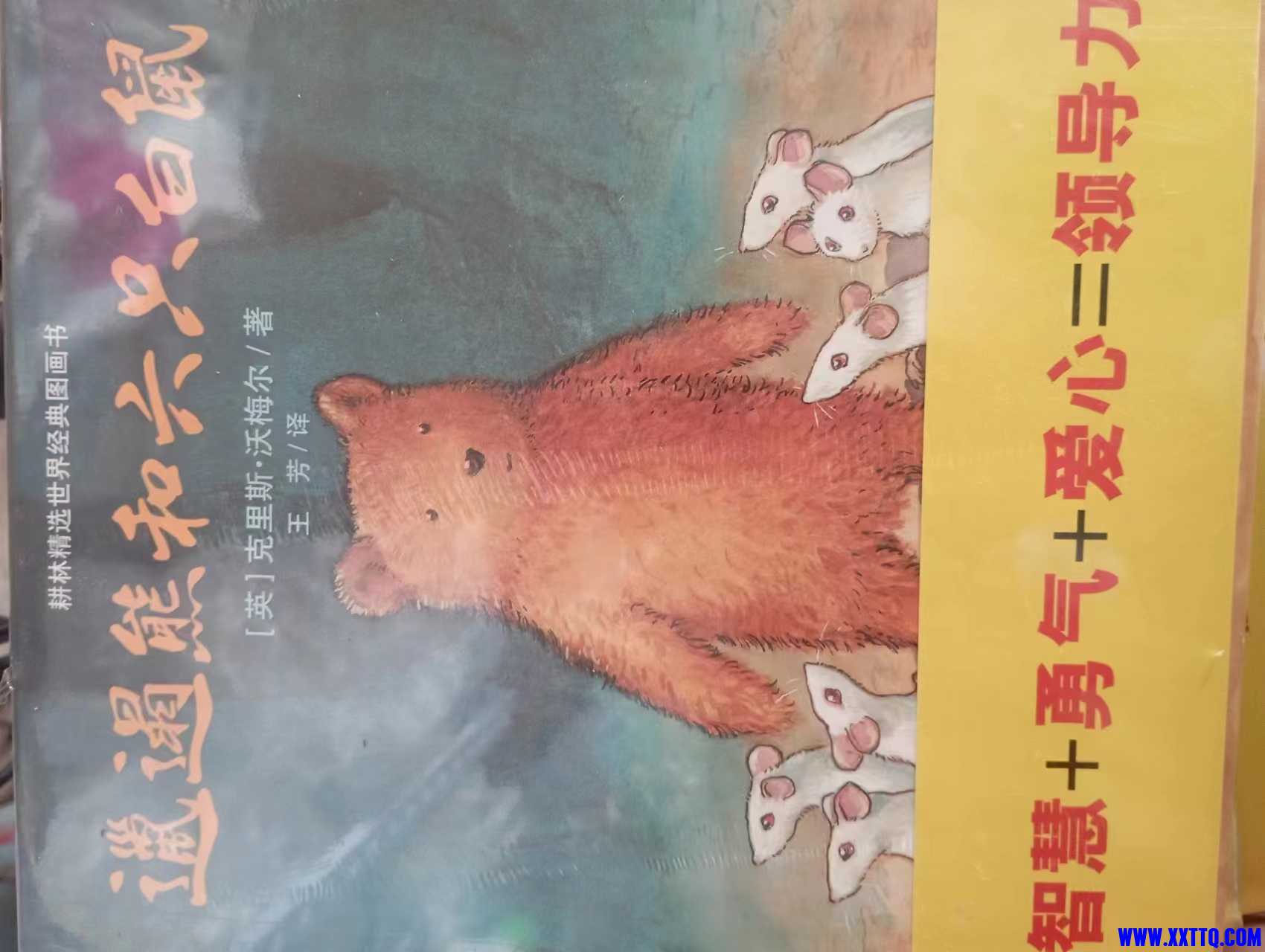 微信图片_202304021416272.jpg